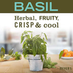 Mrs. Meyer's Clean Day Dryer Sheets - Basil - 80 ct - 2 pk