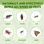 Peppermint Mice Repellent - Natural Mouse Deterrent for Home, Car, Garage Garden - Long-Lasting, Safe for Kids & Pets, Eco-Friendly Formula.(24 Pack)