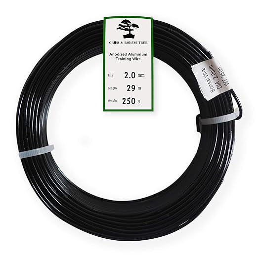 Anodized Aluminum 2.0mm Bonsai Training Wire 250g Large Roll (95 feet) - Choose Your Size and Color (2.0mm, Black)