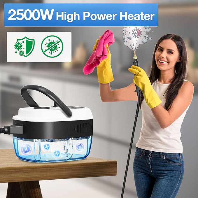 Handheld Steam Cleaner, 2500W Hand-Held High Pressure Portable Cleaning Machine with 3 Brush, High Temperature Steamer for Home Use, Kitchen, Furniture, Bathroom, Car (White)