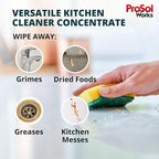 Kitchen Cleaner 16 oz - Daily Cleaning Spray for Countertops, Sink, Cabinets, Appliances, & Stainless Steel Cleaner Revealing Natural Shine & Refreshing Scent - Safe on All Surface