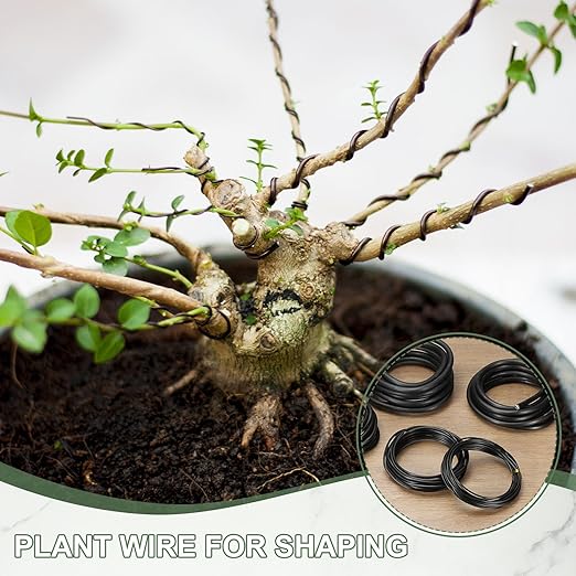 Bonsai Training Wire, 8mm x 9.8 ft Anodized Aluminum Floral Plant Training Wire Bendable Metal Stems Accessories for Gardening Branch Fixing Crafts (Black)
