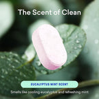 BLUELAND Bathroom Cleaner, Starter Set, Eucalyptus Mint Scent, Spray Bottle with 4 Refill Tablets, Eco-Friendly Cleaning Supplies, 4 x 24 Fl oz