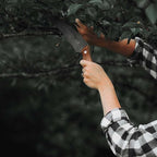 Barebones Timber Saw - Hand Saw with Ergonomic Walnut Handle for Camping, Pruning, and Wood Cutting - Curved Blade and Root Cutter with Sheath