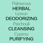 Plant Therapy Deodorizing Essential Oil Blend 30 mL (1 oz) 100% Pure, Undiluted, Therapeutic Grade