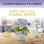 Mrs. MEYER'S CLEAN DAY All-Purpose Cleaner Spray, Compassion Flower, 16 fl. oz (Pack of 3)
