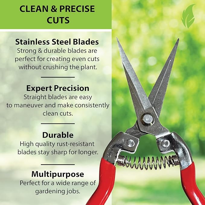 GARDEN GURU Straight Stainless Steel Pruner Pruning Shears Clippers Snips Sharp Bonsai Cutter Plant Trimming Scissor Straight Blade Garden Scissors Tool -Great for Roses Flowers Herbs Fruits (4 Pack)