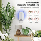 12 Refill Glue Cards for Indoor Flying Insect Trap – Sticky Pads for Capturing Fruit Flies, Gnats, Moths, and Houseflies