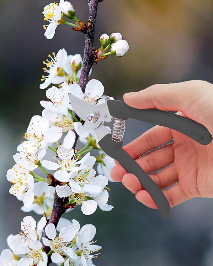 Pruning Shears for Gardening, 4 Pack Garden Scissors for Cutting Fresh Flowers, Floral Clippers for Plants, Fruits (Black)