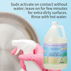 Ginger Lily Farms Botanicals Plant-Based Foaming Spray Dish Soap, Concentrated Formula with Max Grease Cleaning Power, Cruelty-Free, Lavender Chamomile Scent, 1 Gallon Refill (128 Fl Oz)