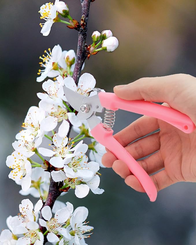 Pruning Shears for Gardening, 2 Pack Garden Scissors for Cutting Fresh Flowers, Floral Clippers for Plants, Fruits (Pink)