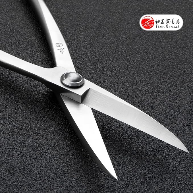 Bonsai Scissors Professional Grade Bonsai Shears Alloy Steel Bonsai Tools Equip With Tool Bag (MT-LBS-210)