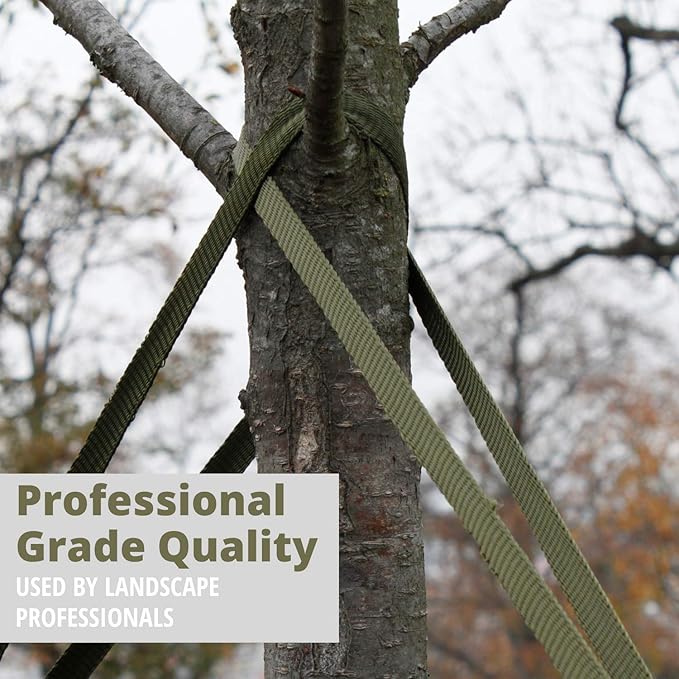 250' Tree Tie Strap Staking and Guying Material - Made in USA - 1,800 Lbs Strength, Olive Green