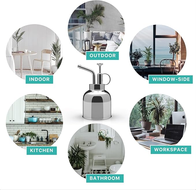 Plant Mister Spray Bottle Stainless Steel Watering Can for Indoor Plants Succulent Bonsai Garden Houseplant Spritzer Modern Garden Tools 10oz/300ml (Silver)