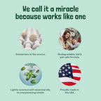 Sunny & Honey Carpet Deodorizer Powder - 20 Oz, Spring Mint - Odor Eliminator & Rug Freshener Powder for Pets & Kids