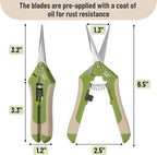 Mr. Pen- Gardening Scissors, 6.5 Inch, Green, Pruning Shears for Gardening with Straight Stainless Steel Blade, Plant Trimming Scissors, Garden shears, Garden Scissors, Gardening Shears, Hand Pruners