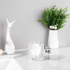 Clear Transparent Apothecary Floral Embossed Glass Jar With Satin Nickel Metal Lid Cover for Bathroom Organization, Cotton Balls, Q Tips, and Small Accessories, Bathroom Storage