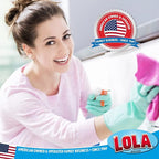 LOLA Round N' Round Wonder Non-Scratch Scouring Pad, 6 Pack, Metallic on One Side, Nylon Net Sponge On Other Side, Hang Hole, Assorted Colors