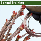Bonsai Training Wire Set of 4, Total 128 Feet (32 Feet Each Size) 3 Size - 1.0MM, 1.5MM, 2.0MM, Corrosion and Rust Resistant (with Bonsai Wire Cutter)