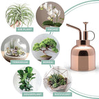 Stainless Steel Plant Mister Spray Bottle Watering Can for Indoor Plants Succulent Bonsai Garden Spray Houseplant Spritzer Modern Garden Tools 10oz/300ml (ROSE GOLD)