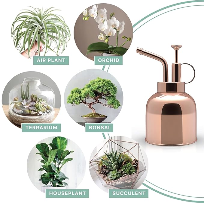 Stainless Steel Plant Mister Spray Bottle Watering Can for Indoor Plants Succulent Bonsai Garden Spray Houseplant Spritzer Modern Garden Tools 10oz/300ml (ROSE GOLD)