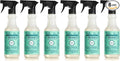 Mrs. MEYER'S CLEAN DAY All-Purpose Cleaner Spray,Limited Edition Mint,16 fl. oz,(Pack of 6)