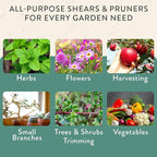Modern Sprout Hand Pruners & Shears Set with Blister Pack - Lightweight Gardening Tools with Easy Lock - Sharp Carbon Steel Blades -Rust Resistant Scissors for Herbs, Flowers - Ocean