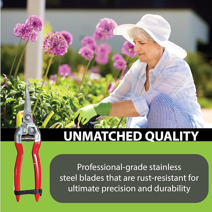 GARDEN GURU Straight Stainless Steel Pruner Pruning Shears Clippers Snips Sharp Bonsai Cutter Plant Trimming Scissor Straight Blade Garden Scissors Tool -Great for Roses Flowers Herbs Fruits (2 Pack)