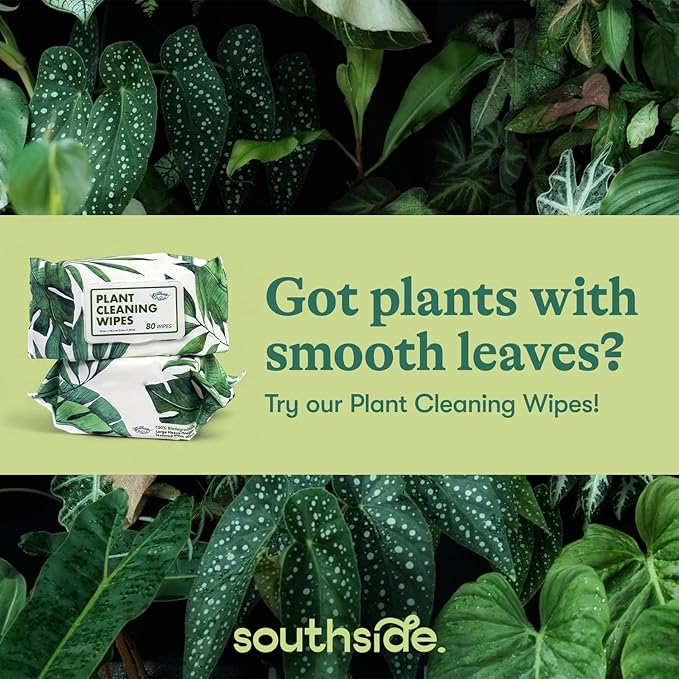 Southside Plant Cactus & Succulent Plants Cleaning Brushes - Wooden Handles w/Soft Goat Hair Bristles - Garden Cleaning Tools, Gentle on Plants, 7" & 3.2" Sizes - Pack of 2