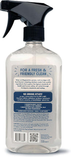 Aunt Fannie's Stainless Steel Spray Cleaner, Powered by Vinegar, Fingerprint and Residue Remover for Refrigerator, Dishwasher, Oven, Grill, Sink, Stovetop, and Other Appliances, Pack of 1