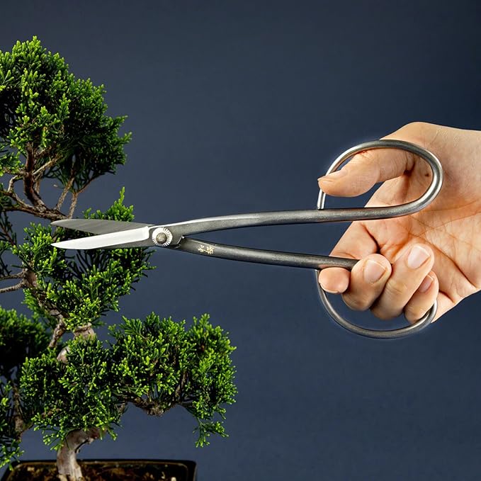 Wazakura Yasugi Stainless Steel Made in Japan Twig Bonsai Scissors 8.27" (210 mm), Japanese Garden Pruning Snip Tools Shears, Flower Herb Trimming Shears (Yasugi Stainless Steel Twig Scissors)