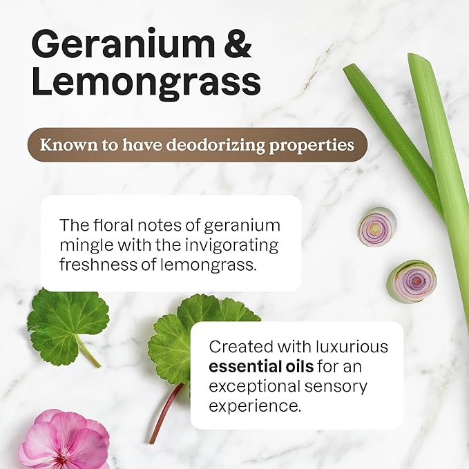 ATTITUDE Dish Soap, EWG Verified, Plant and Mineral-Based Ingredients, Vegan and Cruelty-free Household Products, Geranium and Lemongrass, 16 Fl Oz