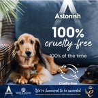 Astonish Descaling Foaming Powder | Tea & Coffee Mugs, Pots, Kettles & Stainless Steel | Dissolves Limescale & Eliminates Stains Clean & Revive (Pack of 6)