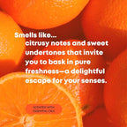 Aneu Simple Soak 32oz – Soak & Rinse Formula | Easily Dissolves Tough Resins & Grime | No Shaking Required | Cleans Glass, Silicone, Metal, & Borosilicate | 32oz - 1 Pack