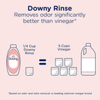 Downy Rinse Laundry Odor Remover, Spring Breeze Scent, 48 FL OZ, Fabric Softener and Laundry Odor Removal Rinse
