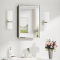 TokeShimi 16x24 Beveled Mirrored Medicine Cabinet Wall Mounted or Recessed Medicine Cabinet with Mirror for Bathroom Brushed Nickel, Aluminum Framed Metal Mirror with Storage Adjustable