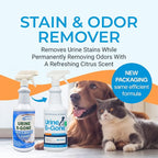 KINZUA ENVIRONMENTAL Urine B-Gone, Professional Enzyme Odor Eliminator & Pet Stain Remover, Human, Cat & Dog Urine Cleaner, Effective on Laundry, Carpets & More, Citrus Scent, 32oz, Pack of Two