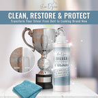 Silver Polish, Silver Cleaner (8-oz Bottle), Made in the USA | Silver Jewelry Cleaner – Gently Removes & Prevents Tarnish | Safe to Use on All Silvers by Evo Dyne (Silver Polish)