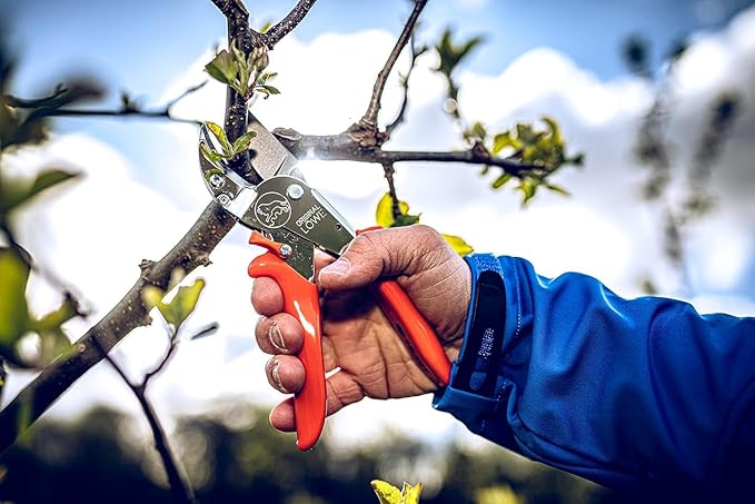 Original LÖWE 10 Professional Anvil Pruning Shears 10.107 with Bypass Geometry - Innovative Sharp Shears with Ergonomic Handles and Non-Stick Steel Blade for Pruning Work in Orcharding