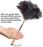 Aldwin Ostrich Feather Duster with Extension Pole Up to 43 inch, Genuine Fluffy Natural Reusable Handheld Feather Dusters for Cleaning Supplies, Washable, Car, Office, Desk, Blinds
