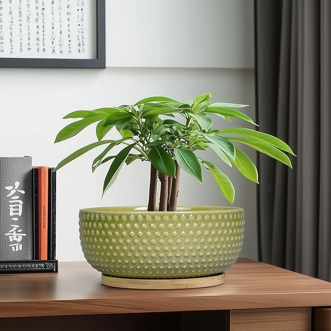 Bonsai Planter - 8 Inch Ceramic Succulent Pots with Drainage Hole and Saucer for Indoor Plants, Boho Shallow Round Planter Bowl, Desk Decor, Garden Lover Gifts, Green