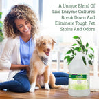 Biokleen Bac-Out Pet Stain Remover - Spray & Gallon Refill - Enzymatic, Natural, Destroys Stains & Odors Safely, for Pet Stains on Carpets - Eco-Friendly, Plant-Based