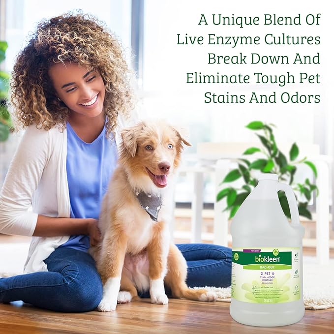 Biokleen Bac-Out Pet Stain Remover - Spray & Gallon Refill - Enzymatic, Natural, Destroys Stains & Odors Safely, for Pet Stains on Carpets - Eco-Friendly, Plant-Based
