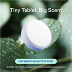 BLUELAND Toilet Bowl Cleaner Tablets, Starter Set, 14 Count with Tin, Peppermint Eucalyptus, Plastic-Free, No Harsh Chemicals, Plant-Based