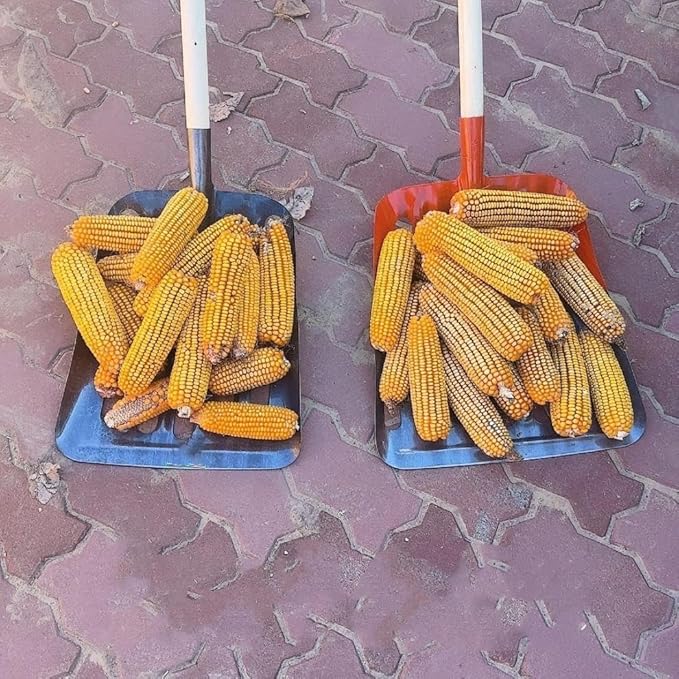 Gardening Grain Shovel, Manganese Steel Farm Sieve Shovel, Spade Collect Corn Cob with Mesh for Gardening Farm Tools