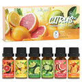 Citrus Essential Oils Set, Fragrance Oil Set for Diffuser, Scent Diffuser Oil for Candle Making- Blood Orange, Lemon, Bergamot, Lime, Grapefruit, Citrus