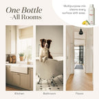 Thieves Household Cleaner 14.4 fl.oz. - 2 bottles by Young Living Essential Oils