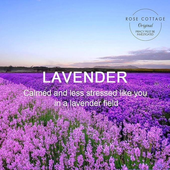 Large 12 Packs Lavender Hanging Closet Deodorizer Air Freshener Long Lasting Scented Sachets Smell Goods for House