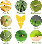 120 Pack Fungus Gnat Traps for House Indoor, Fungus Traps Fruit Fly Traps for Indoors Gnats Sticky Traps for Plants Yellow Sticky Traps for Gnats