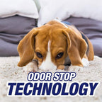 Resolve Pet Carpet Spot & Stain Remover Spray Refill, 60oz, Cleans pet Messes (SYNCHKG097508) (Pack of 2)